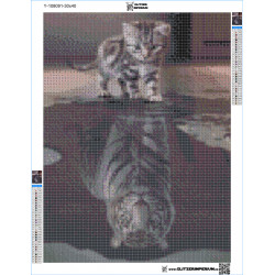 Katze mit Tiger Spiegel