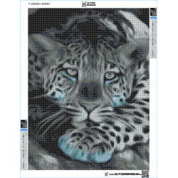 Leopard mit blauer Pfote